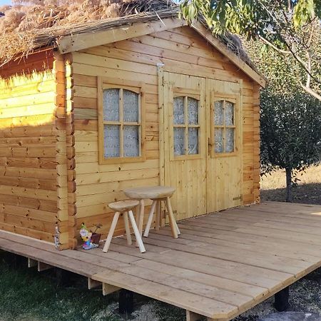 Edelweiss Guesthouse, Glamping And Camping Suhaia Экстерьер фото