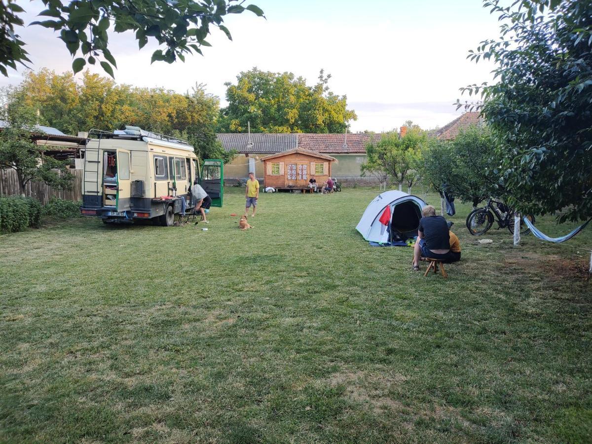 Edelweiss Guesthouse, Glamping And Camping Suhaia Экстерьер фото